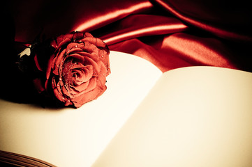 a beautiful red rose with satin lying on old book like romantic background with copy space