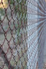 Fototapeta premium Detail of wire netting photograph