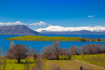 Tranquil scene, snowy mountains, lake and green meadow