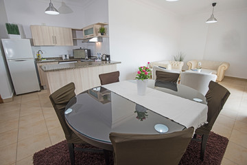 Interior design of luxury apartment open plan kitchen