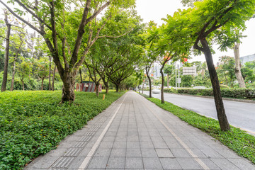 Shenzhen Nanshan Greenery Walkway