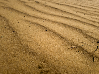Fototapeta na wymiar Barchan sands. Background of sand in the desert.