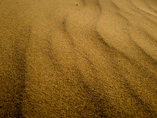 Barchan sands. Background of sand in the desert.