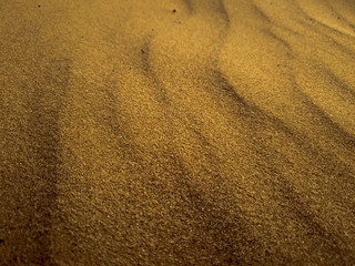Barchan sands. Background of sand in the desert.
