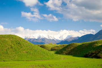Fototapeta na wymiar Beautiful spring and summer landscape. Lush green hills, high mountains. Spring blooming herbs. Mountain wild tulips. Blue sky and white clouds. Kyrgyzstan Background for tourism.