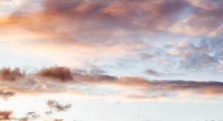 Fototapeta na wymiar Fluffy pink clouds against a blue sky at sunset