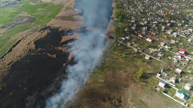 Flying over the river with reeds. Fire reed on the river near the village. Aerial survey