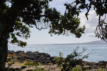 ealand sea 