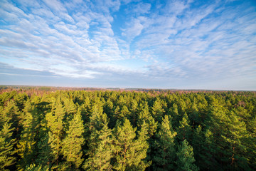 fields and forests covered in mist in late autumn