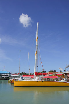 Sailboats in the port of Antigua (Lesser Antilles)