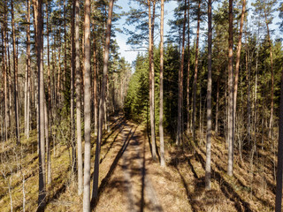 aerial view of countryside endless green forests with small lakes