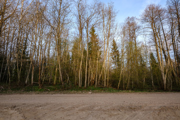 b eautiful countryside gravel road in sunset