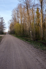 Fototapeta premium b eautiful countryside gravel road in sunset