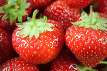Fresh Strawberries