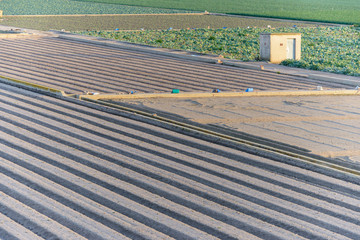 Caseta de aperos junto a unos campos de cultivo. España