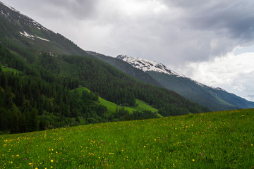 Fototapeta premium Switzerland. Mountains and nature. Concepts about traveling and wanderlust. Meadows of green grass and flowers in the Swiss mountains after a summer rain with huge clouds. Travel and vacation concept.