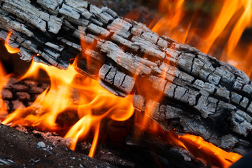 Burning charred firewood close up