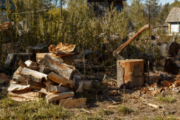 Fototapeta premium Autumn rural landscape. Firewood and an ax on the background of high grass.