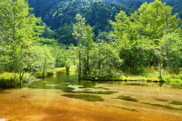中部山岳国立公園。上高地の景勝地、田代池。松本　長野　日本。８月下旬。