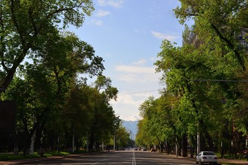 Almaty city streets green trees