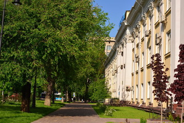 Almaty city streets green trees