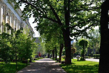 Almaty city streets green trees
