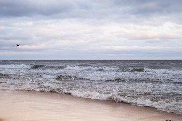 Fototapeta na wymiar Raging waves in the Baltic sea