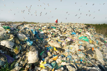 man with a bag picks up trash