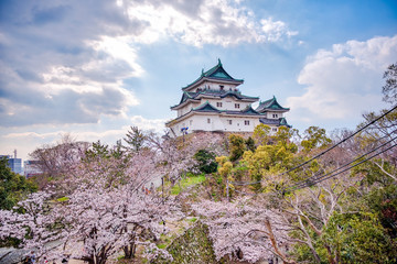 Wakayama Castle standing atop the hill with cherry blossoms in the foregound