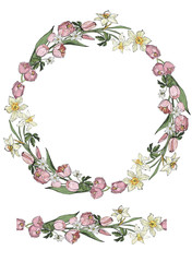 vector wreath isolated from Tulip pink flowers, white daffodils and anemones
