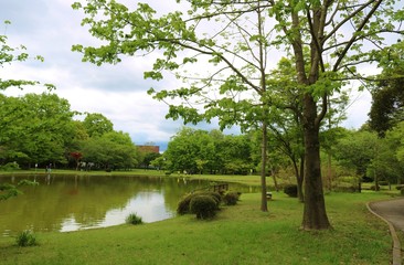 風景　春　緑　池　爽やか　公園　杤木　