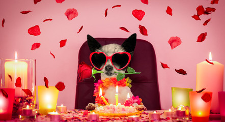 valentines happy birthday dog