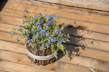 Fototapeta premium A bouquet of beautiful blue small flowers called forget-me-nots on a table in the summer