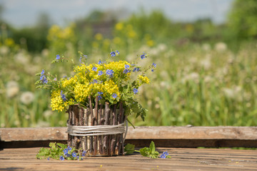 A bouquet of beautiful little yellow blossoming flowers called rape and dandelions in summer