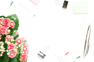  Flat lay home office desk.  Female workspace with Kalanchoe flowering plant, stationery supplies on white background. Top view with copy space.
