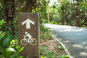 Bike lane road signpost with arrow driving direction. Biking bicycle street in a park surrounded by trees in the forest. Bang Krachao, Thailand.