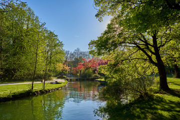 Obraz premium Park and lake