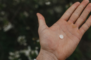 Petal on a man's hand in corns