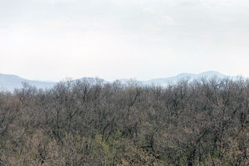 Obraz na płótnie Canvas Pilis mountains in Hungary.