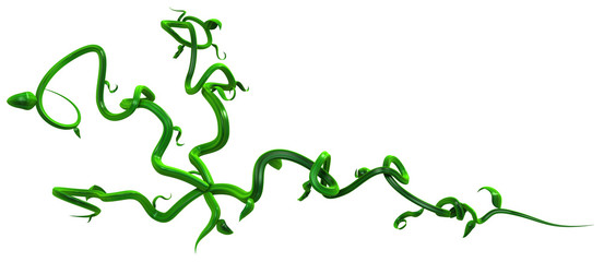 Plant Vines Green, Five Split