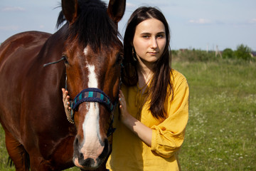 Beautiful young girl, pretty european woman in yellow bright shirt hugging adorable brown horse in the sunlight shine with green grass on the background. Horse farm, horse care, horse riding activity.