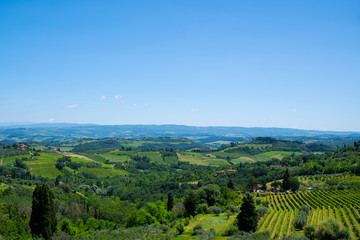Fototapeta na wymiar Beautiful landscape of vineyards. Chianti region in summer season. View of countryside and chianti vernaccia vineyards from San Gimignano. Tuscany, Italy, Europe. Summer, holiday, traveling concept.