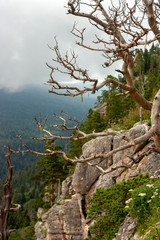 View of the rock near the checkpoint in the Lago-Naki Caucasian Reserve. Green trees on a summer day and mountains in the clouds in the background. Western Caucasus, Krasnodar Territory, Russia