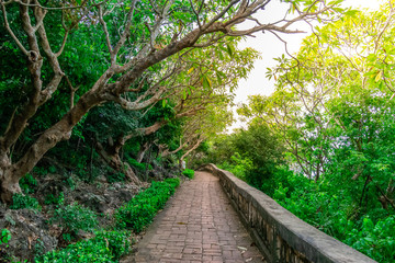 view road with tree on sky background.