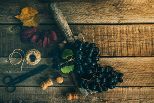 Dark blue grape with fall leaves on old wooden background. Healthy fruits. Red wine grapes background. Bunch of grapes ready to eat. Toned image. Selective focus. Top view. Copy space.