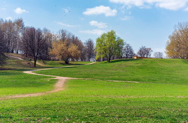 Plakat Spring landscape in a city park with green trees and footpaths.