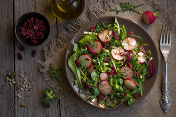 Fresh vegetable salad with radish, arugola and dried cranberries on dark wood