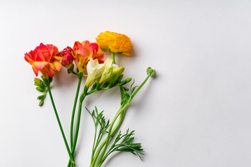 Flatlay with red and orange freesia flowers on white background with copy space