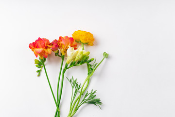 Flatlay with red and orange freesia flowers on white background with copy space