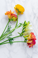 Flatlay with red and orange freesia flowers on marble background